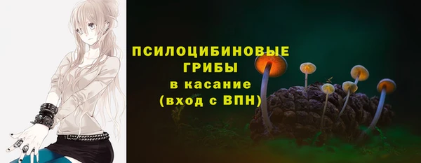 прущая мука Алзамай