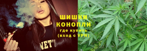 прущая мука Алзамай