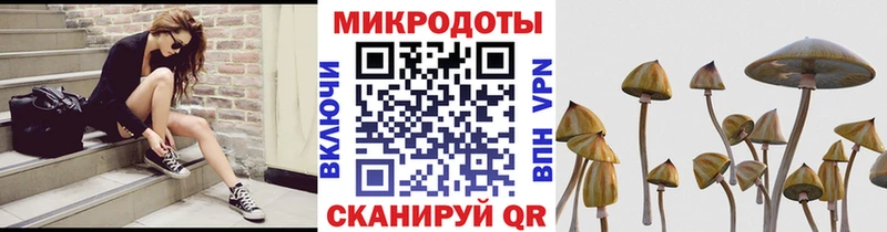 Галлюциногенные грибы Cubensis  Апрелевка 